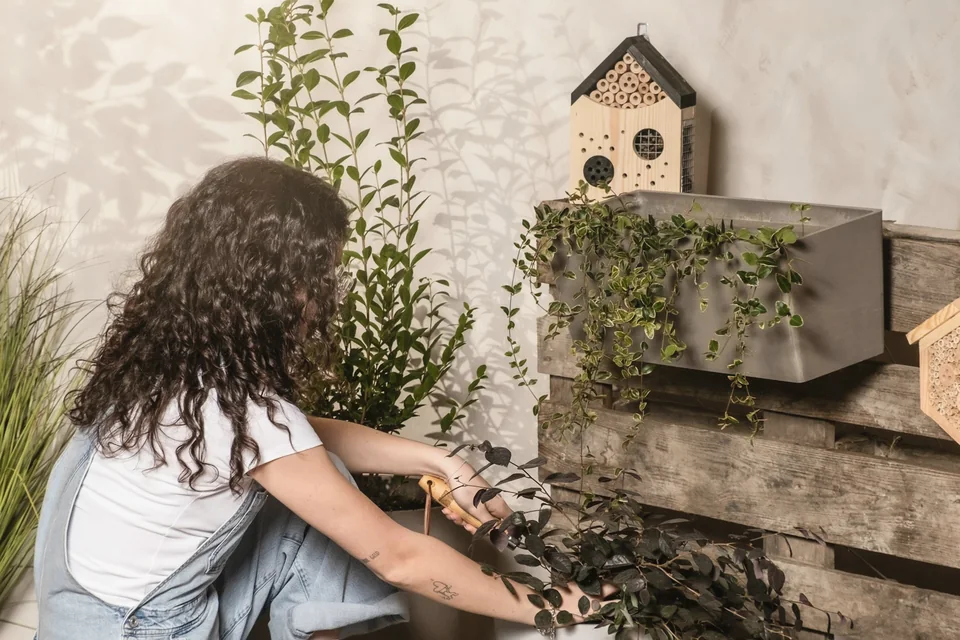 A woman tending plants in a home garden.